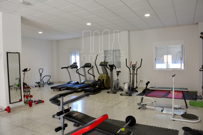zzccGym 1